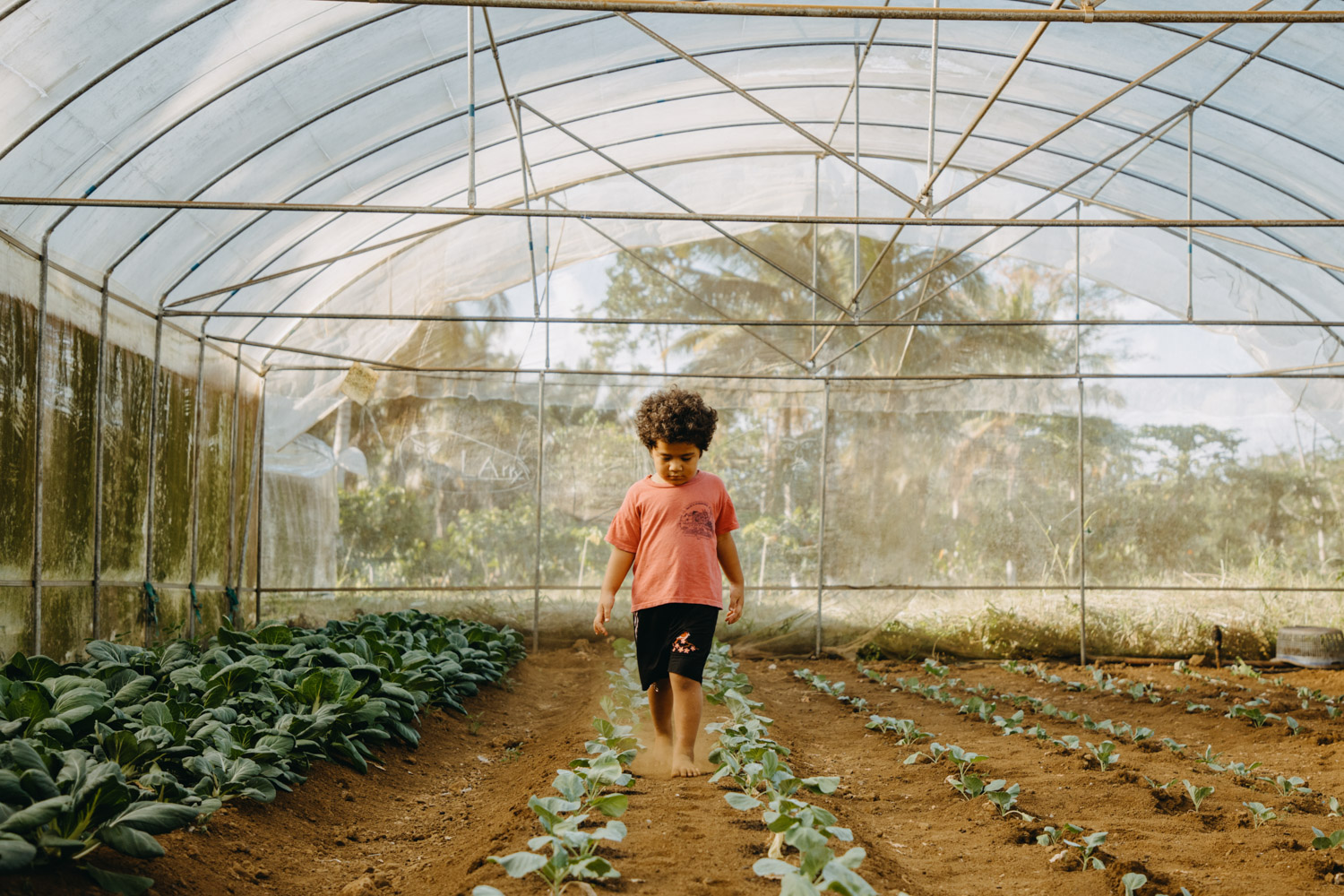 Growingyourfuture-Samoa-eattherainbow-healthyeating-Vegetablefarmer-farmer-agriculture-documentary-photography-documentaryfilm-organicfarming-4COVER