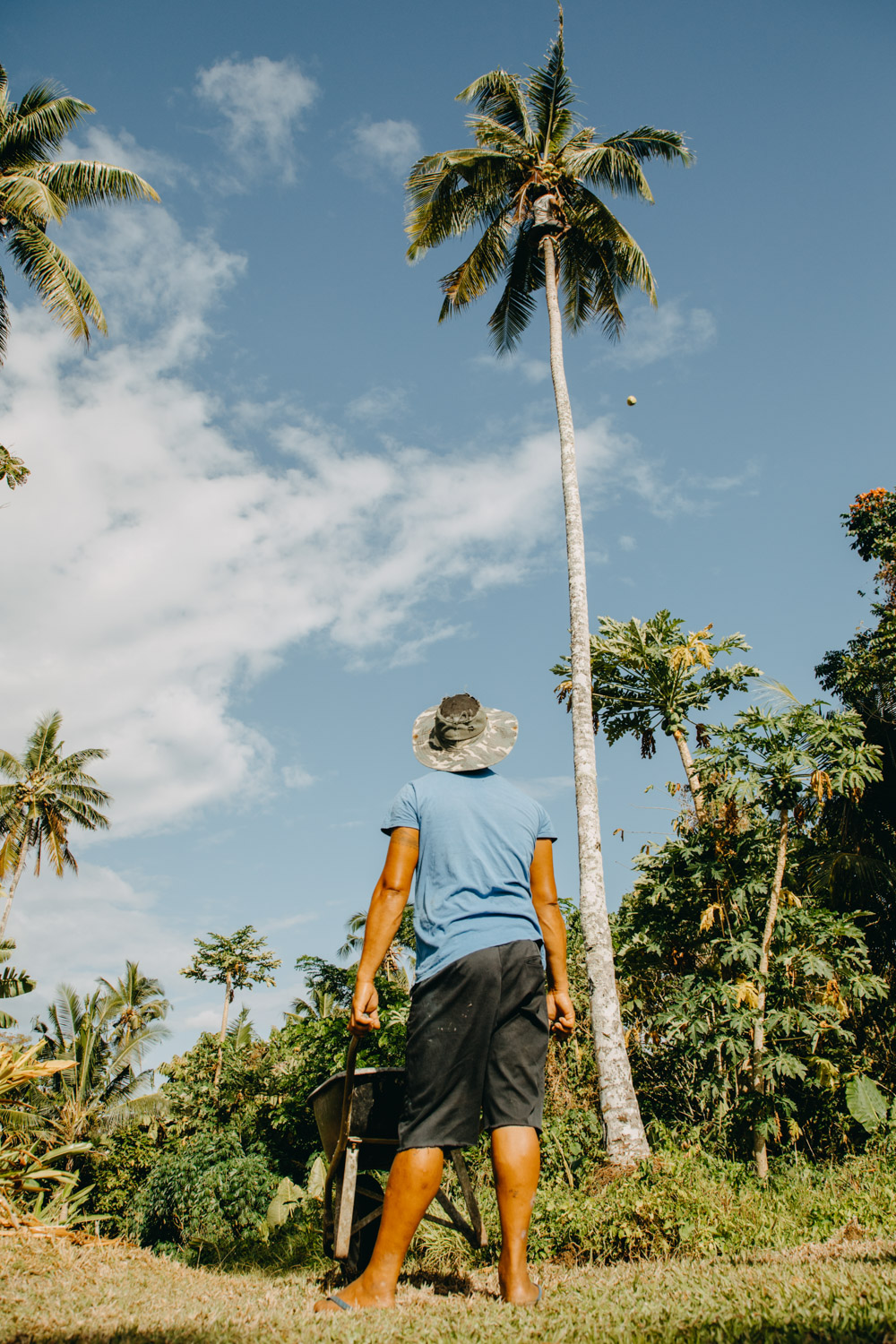 Ifieleeleplantation-Samoa-organicfarm-healthyeating-farmer-agriculture-documentary-photography-documentaryfilm-organicfarming-