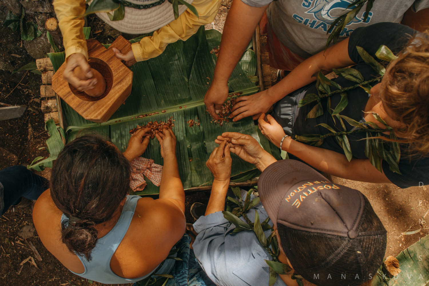 KokoSamoa-Cacao-Samoa-organicfarm-healthyeating-farmer-agriculture-documentary-photography-documentaryfilm-organicfarming-13COVER-1