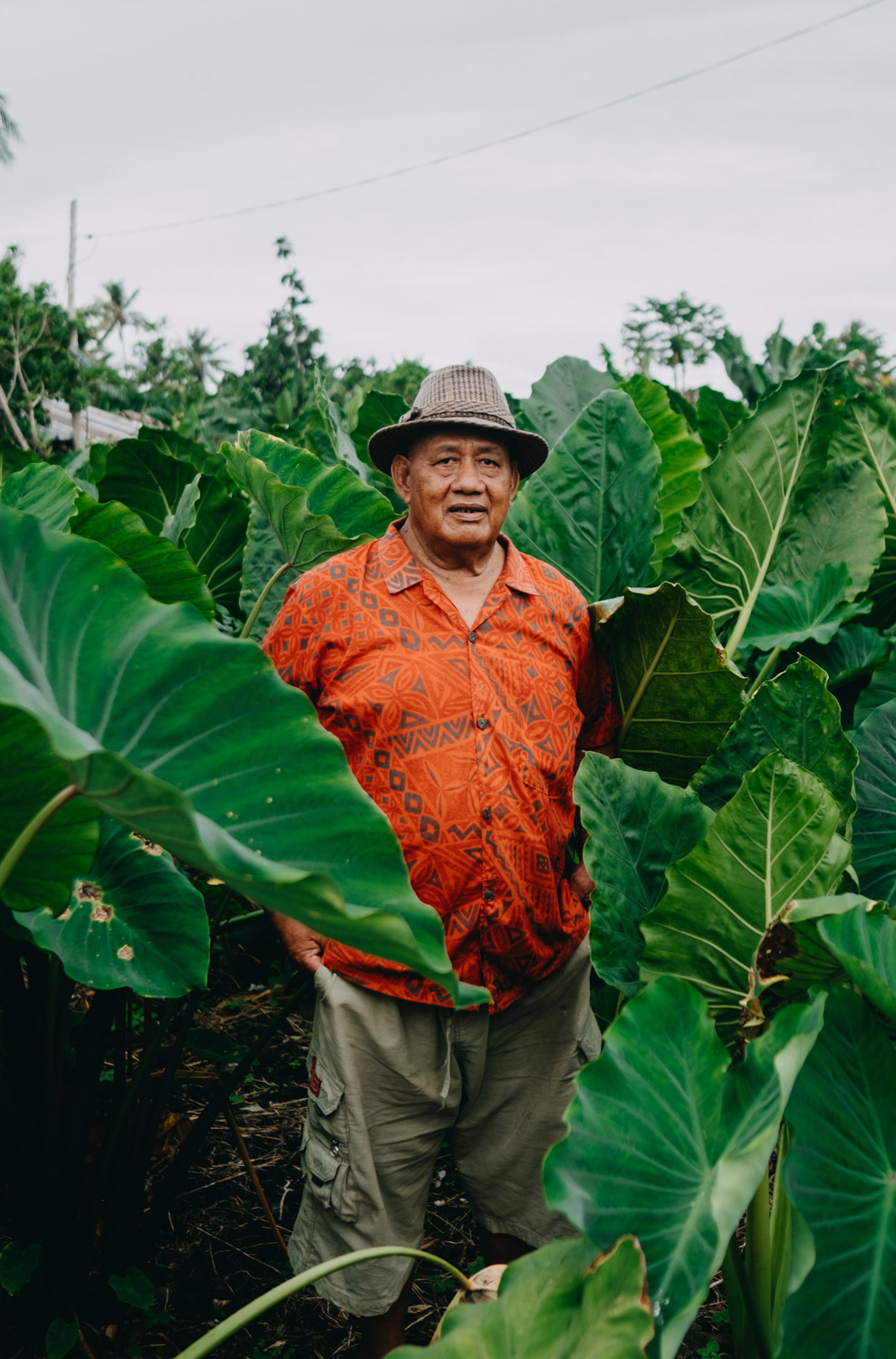 SAFPROM-Samoa-SamoaMinistryofAgriculture-Vegetablefarmer-farmer-agriculture-documentary-photography-documentaryfilm-fisherman-4-1