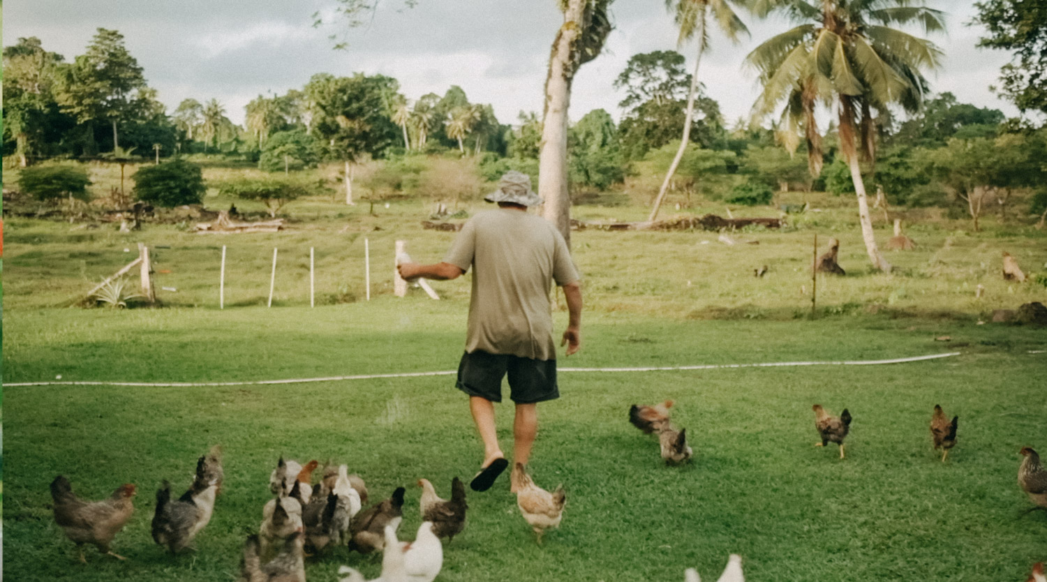 SAFPROM-Samoa-Savaii-SamoaMinistryofAgriculture-Vegetablefarmer-farmer-agriculture-documentary-photography-documentaryfilm-cattlefarm-organicfarming-10