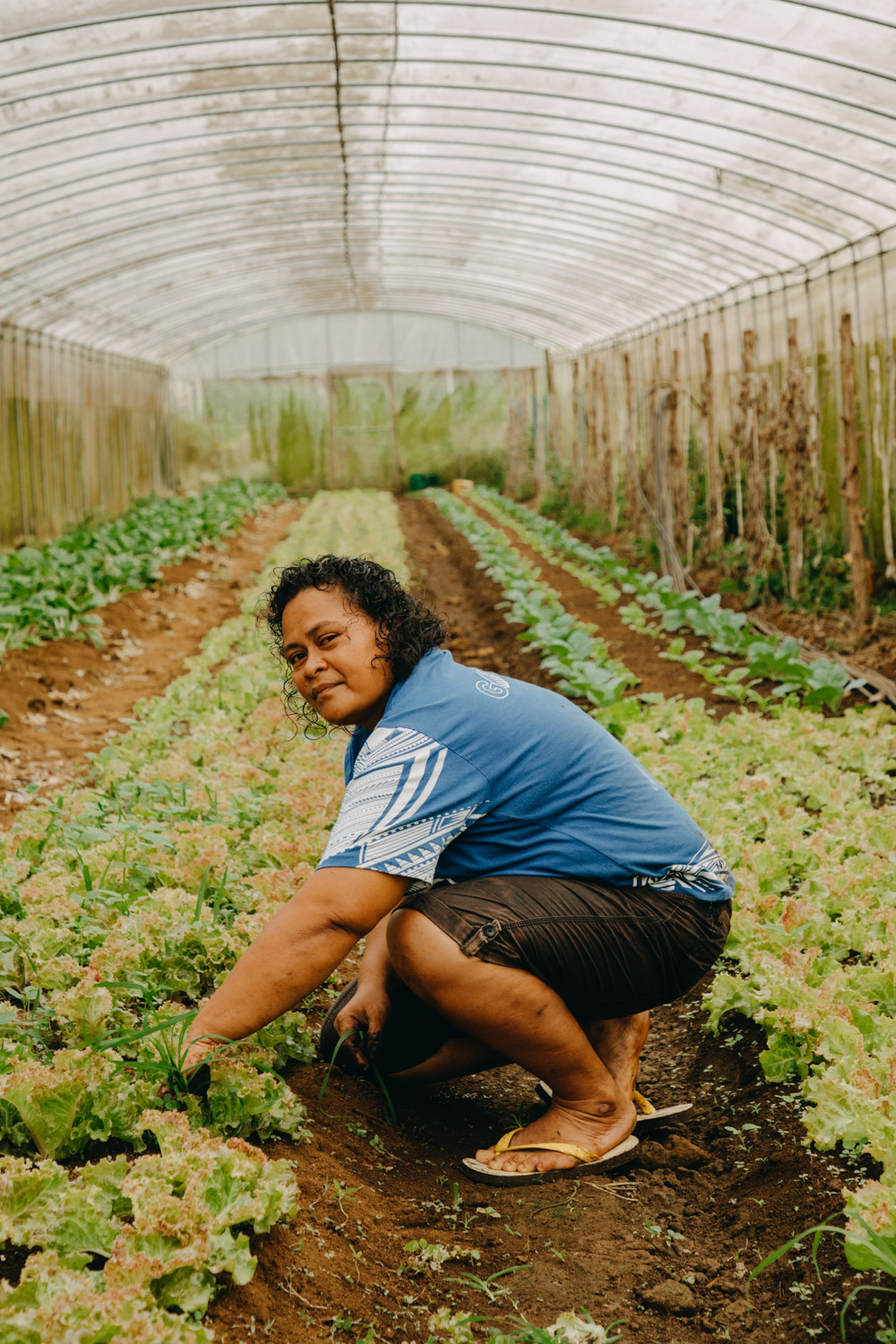 Womenfarmers-Samoa-organicfarm-healthyeating-farmer-agriculture-documentary-photography-documentaryfilm-organicfarming-1686